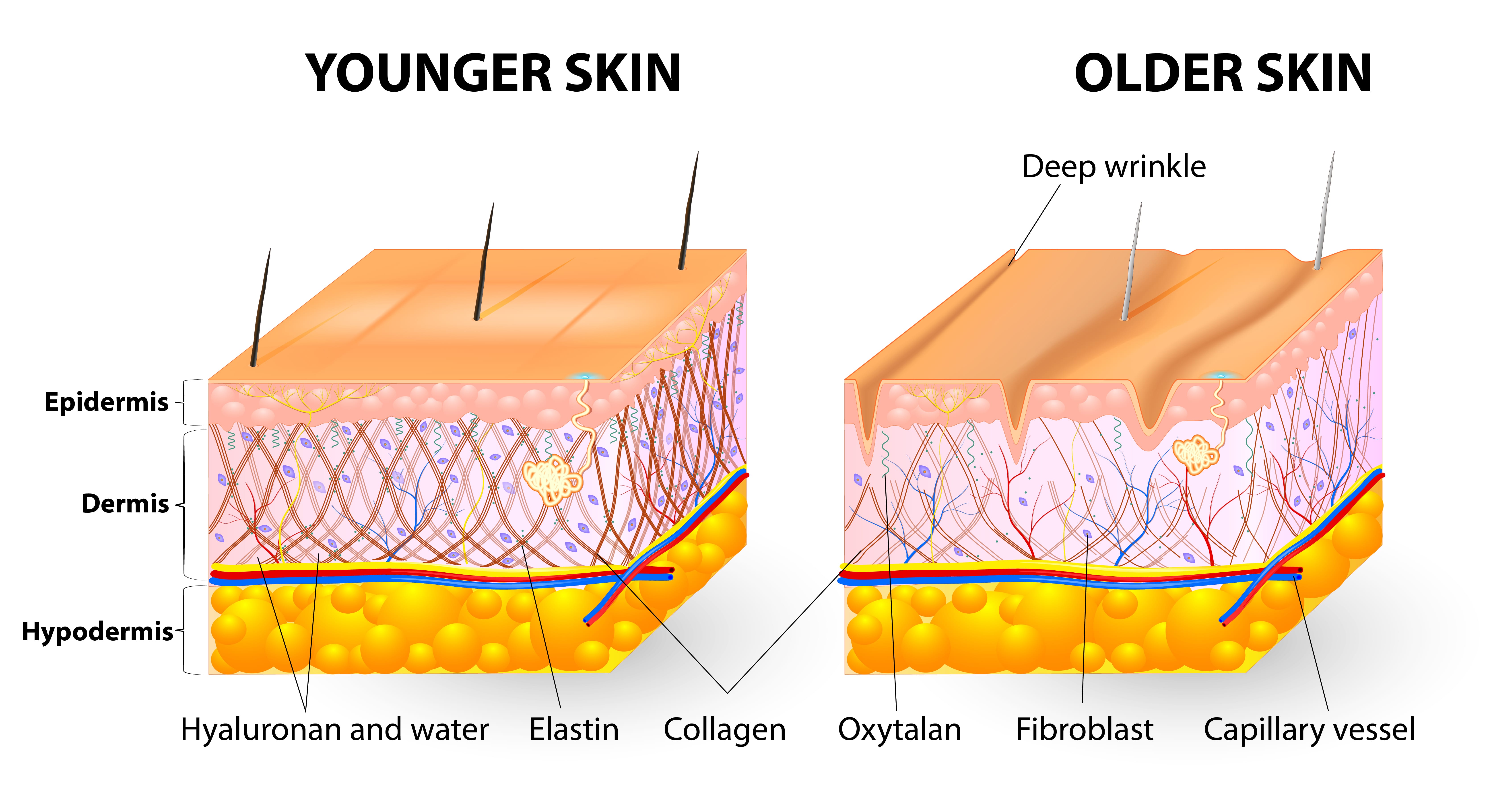 PRP Facial